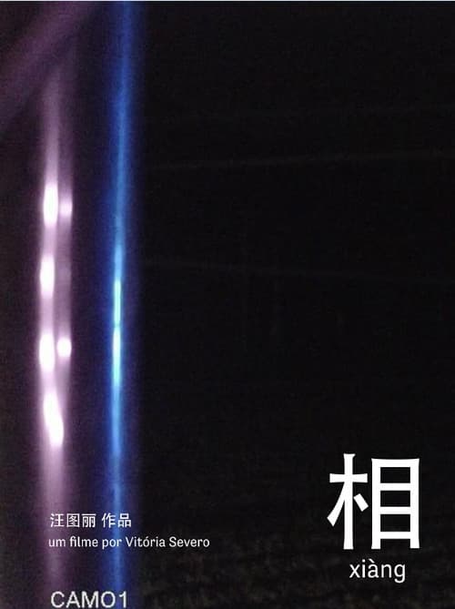 相 xiàng
