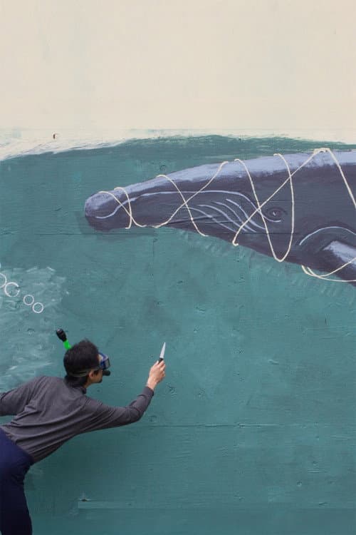 The Whale Story