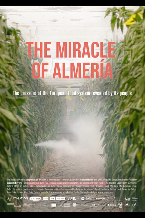 Het Mirakel van Almería