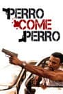 Perro come perro