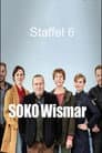 Temporada 6